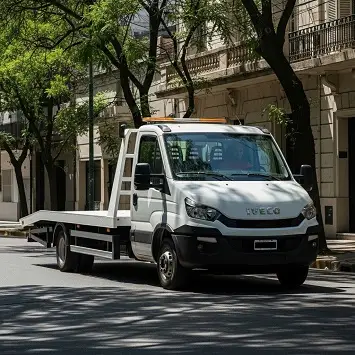 Grúa circulando por calle de La Plata